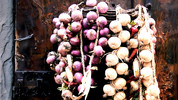 Artichokes, Chalk an Hoat Cuisine: Artichokes, Chalk an Hoat Cuisine
