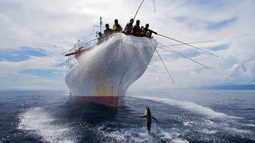 South Pacific: Series 1: Fragile Paradise