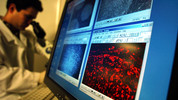 Frontiers: Stem Cells