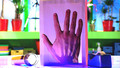 Nina and the Neurons Go Inventing: 24. Extraordinary X-Rays