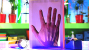 24. Extraordinary X-Rays: Nina and the Neurons Go Inventing