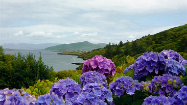Words and Music: Song for Ireland