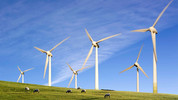 Analysis: Inspiring Green Innovation