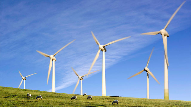 Analysis: Inspiring Green Innovation