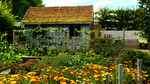 Click here to listen to Gardeners' Question Time. Image: A garden.