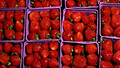 Farming Today: Fri, 17 Jul 2009