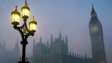 The Political Club