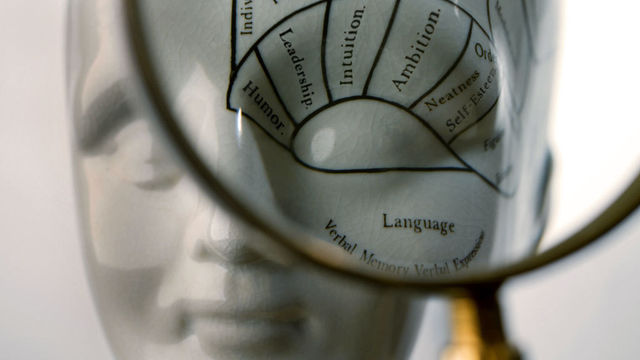 All in the Mind: 14/07/2009