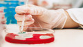 A Life With ... - Series 5: 1. Microbes