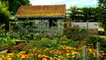 Gardeners' Question Time: Fri, 17 Jul 2009