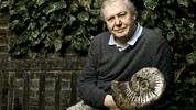 David Attenborough's Life Stories: 7. Dragons