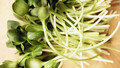 Food Programme: Watercress