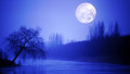 The Inconstant Moon: 2. The Invented Moon