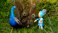 Show Me Show Me: 3. Farms and Feathers