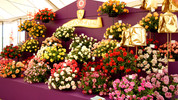 Hampton Court Palace Flower Show: Episode 2