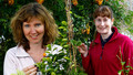 Beechgrove Garden - 2009: Episode 14