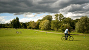 In the Park: In the Park
