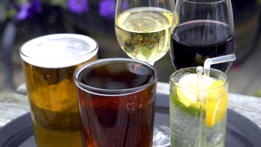 Horizon: 2009-2010: Do I Drink Too Much?