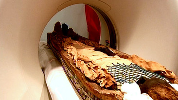 Show Me the Mummy