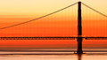 Something Understood: Building Bridges