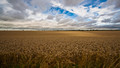Farming Today: Tue, 03 Nov 2009