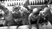All in the Mind: Tue, 03 Nov 2009