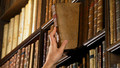 Law in Action: Tue, 10 Nov 2009