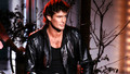 How David Hasselhoff Brought Down The Wall: Tue, 10 Nov 2009