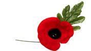 Festival of Remembrance: Festival of Remembrance