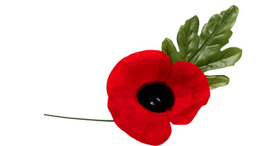 Festival of Remembrance