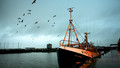 Shipping Forecast: Thu, 19 Nov 2009