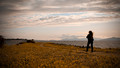 Words and Music: Solitude