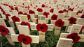 Royal British Legion Festival of Remembrance: 2009