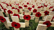 Royal British Legion Festival of Remembrance: 2009
