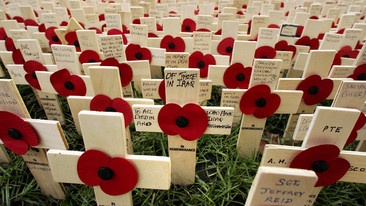 Royal British Legion Festival of Remembrance: 2009