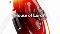 House of Lords: Lords - Policing and Crime