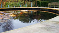 Gardeners' Question Time: Fri, 20 Nov 2009