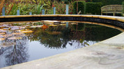 Gardeners' Question Time: Fri, 20 Nov 2009