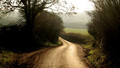 Escape to the Country - Series 10: Kent