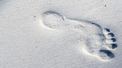 In the Footsteps: Adam Smith
