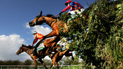 Racing from Aintree: Sun, 22 Nov 2009