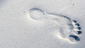 In the Footsteps - Series 3: 4. Robert Bontine Cunninghame Graham