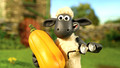 Shaun the Sheep - Series 2: 1. Double Trouble