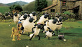 Shaun the Sheep - Series 2: 7. Hair Today, Gone Tomorrow