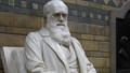 Darwin: Episode 6