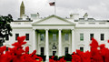 Washington Journal: Sun, 29 Nov 2009