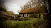 Short Stories by John McGahern: A Slip Up