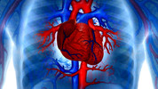 Heartbreak Science: Heartbreak Science