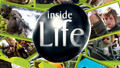Inside Life: 9. Bahamas Reef