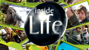 9. Bahamas Reef: Inside Life
